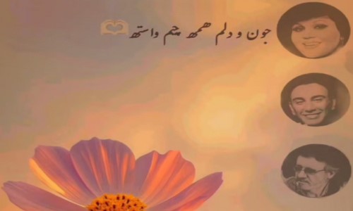 هایده شادمهر معین جون و دلم همه چیم واسته